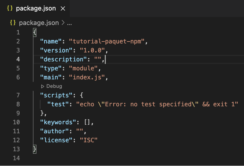 paquet package.json init