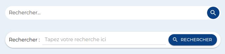 Comparatif entre la barre de recherche minimaliste et la version avec étiquette visible et bouton texte
